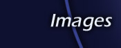 imgs